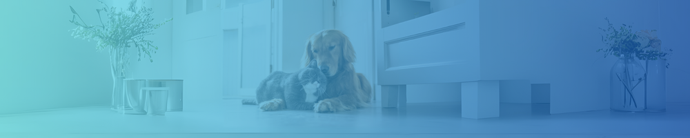banner alimentos mascopremium